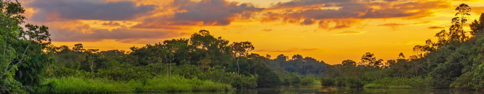 veryCalmBackground-1