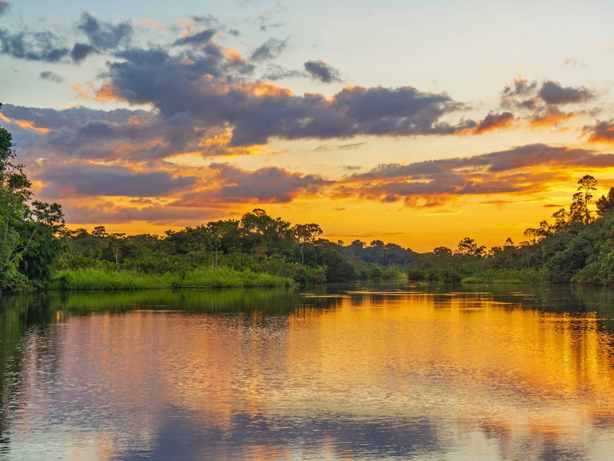 veryCalmBackground-1